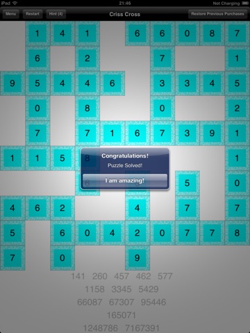 Number Criss Cross screenshot 4