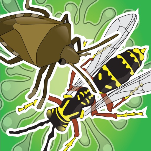 HD Stink Bug vs Wasp iOS App