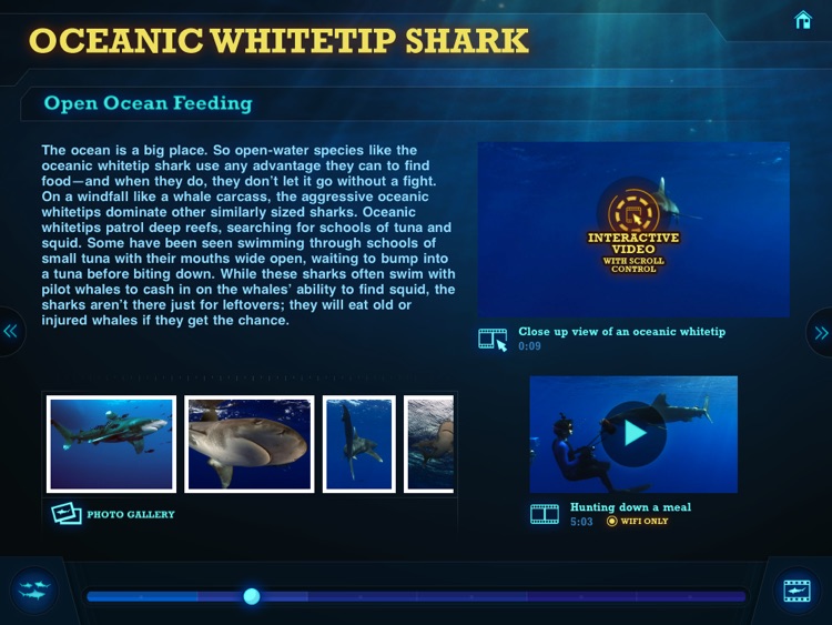 Ultimate Sharks Free