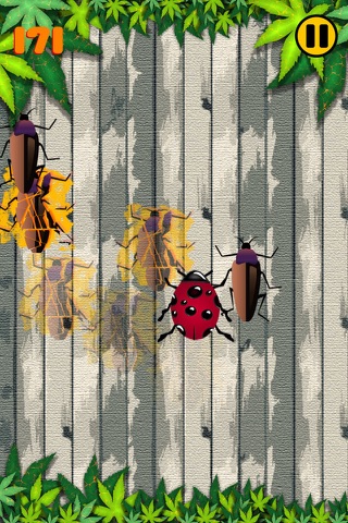 Bugs Crusher -  قاتل الحشرات أشهر لعبة مجاني فى العاب ايفون و العاب ايباد screenshot 2