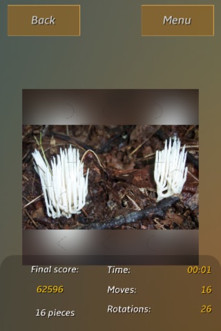 Mushrooms Jigsaw Puzzles screenshot 4
