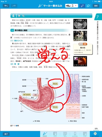 Digital Nursing Graphicus 2013 screenshot 2