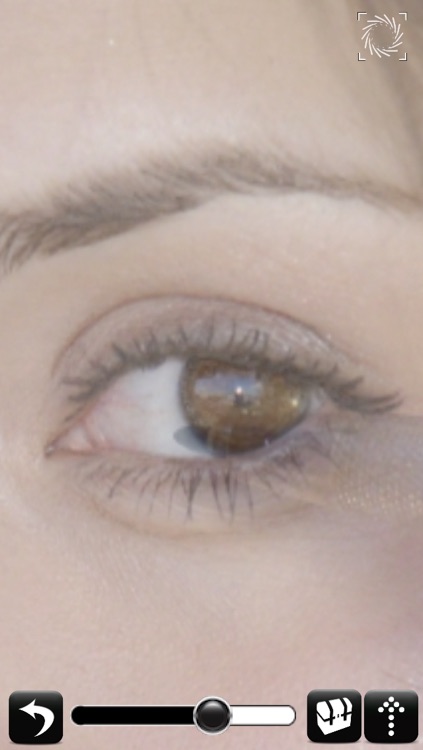 Camera Lucida