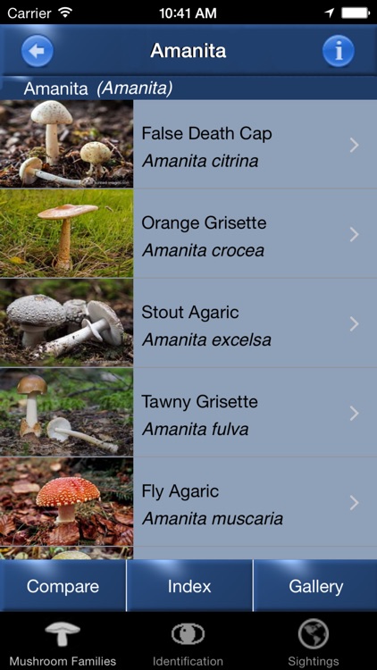 Mushroom Id North America - Fungi Identification Guide to Toadstools and Mushrooms screenshot-4