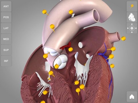 心臓解剖 Heart 3D Atlas of Anatomyのおすすめ画像1