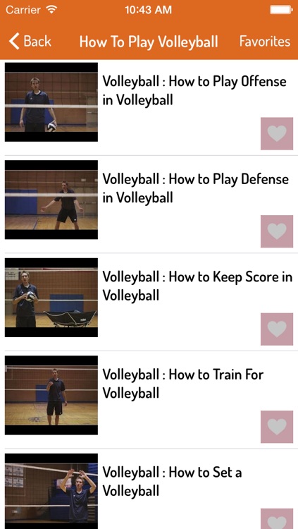 Volleyball Guide