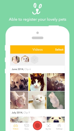 PetStory (Pet video recording)(圖1)-速報App