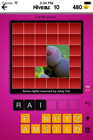 Open and Guess the Pic -What's the Word for the hidden Pic? screenshot 4