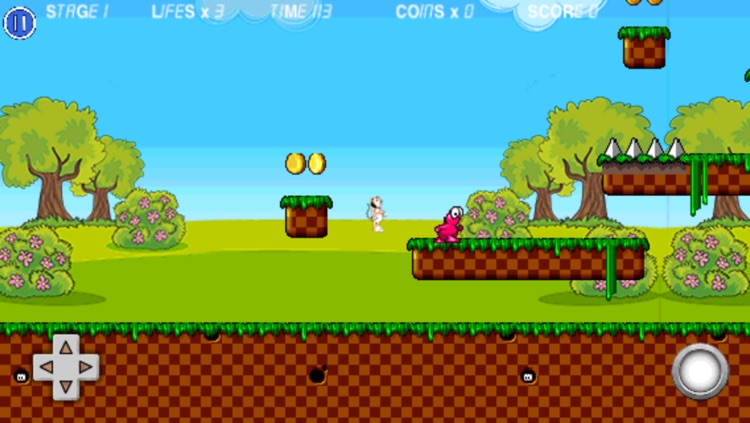 A Super Tiny Tiger Run World Adventure Free Game screenshot-4