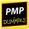 PMP Certification Exam Practice For Dummies