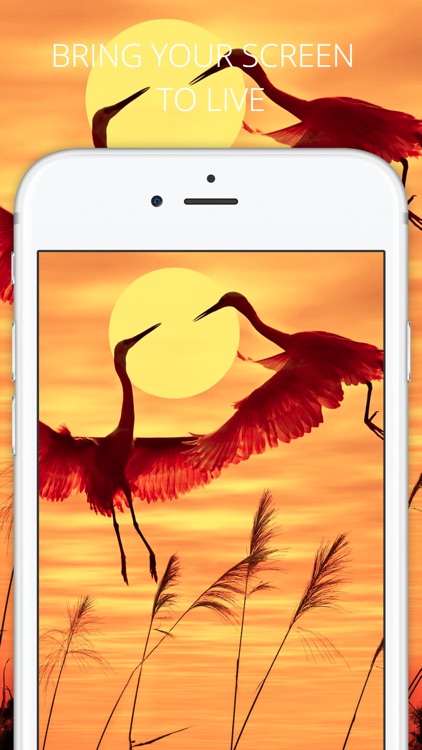 Live Wallpapers & Themes - Cool HD Backgrounds, Images and Photos for iPhone 6s and 6s Plus