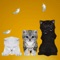 Animated 3D Cute Kitten Cat Sounds