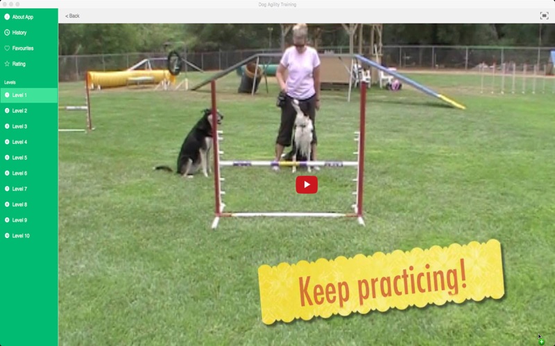 Dog Agility Training thumbnail 4