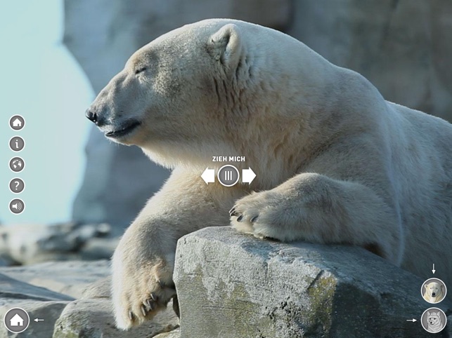 Zoo am Meer(圖1)-速報App