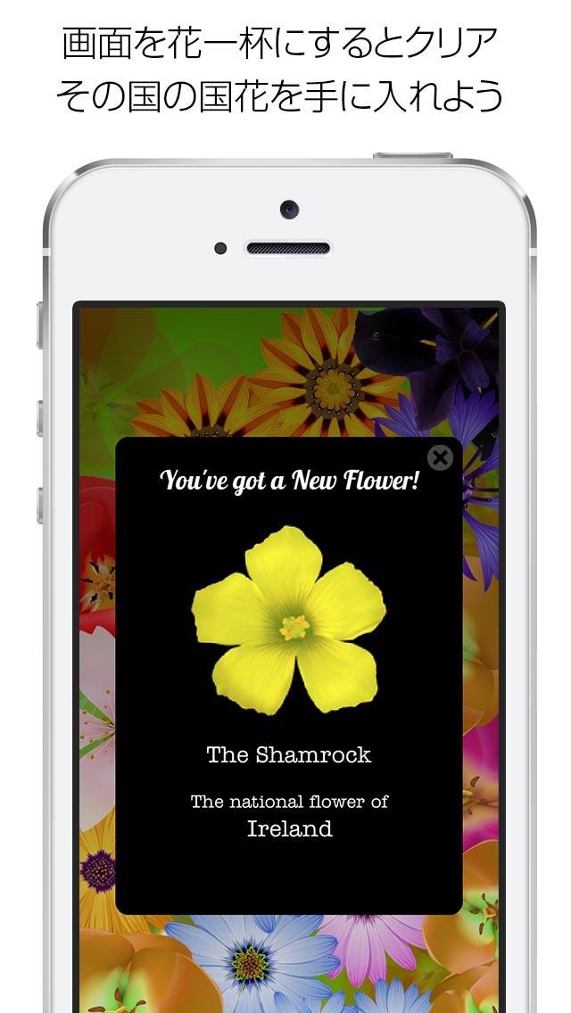 Bloom 無料 -百花繚乱：タップで画面に花を咲かせよう-のおすすめ画像3