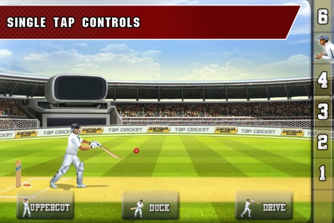 Tap Cricket 2013 screenshot 2