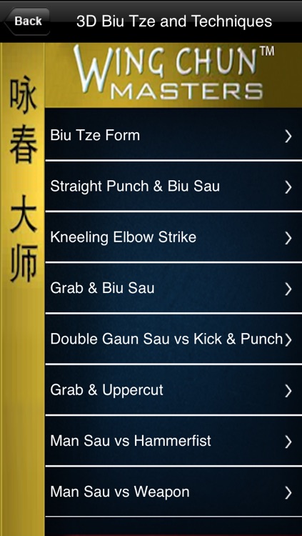 Wing Chun Masters 3