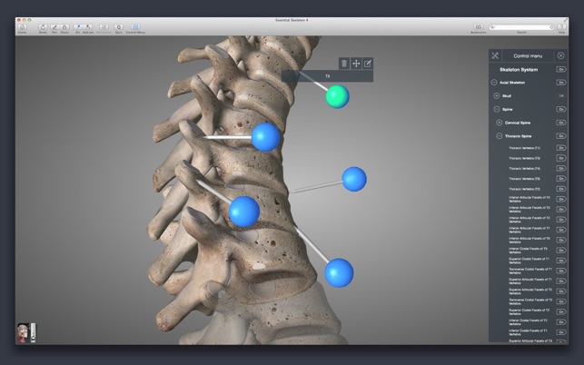 Essential Skeleton 4(圖2)-速報App