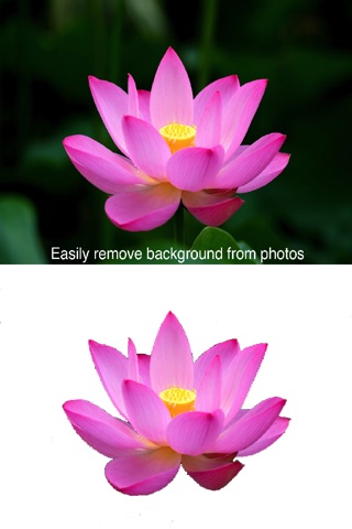 Fusion - Mix your photos in to one surreal images screenshot 2