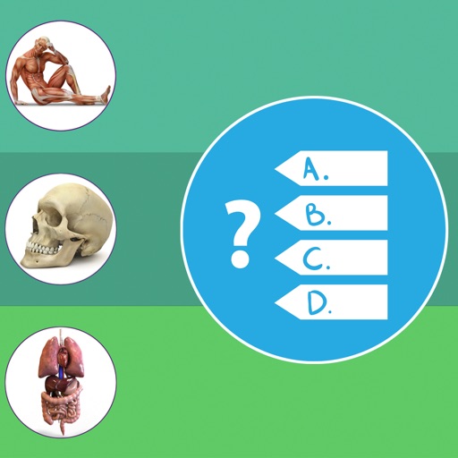 Anatomy, Physiology Quiz and Glossary for iPhone