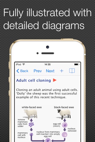 GCSE Science Glossary screenshot 2