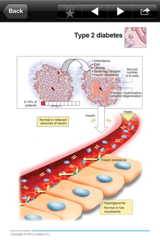 Miniatlas Diabetes Mellitus screenshot 3