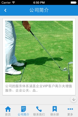 高尔夫球网 screenshot 3