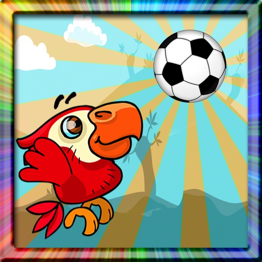 Brazil Football Birds Icon