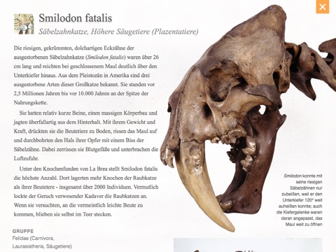 Evolution – Faszination Erdgeschichte: Urtiere, Dinosaurier, Neandertaler & Co screenshot 3