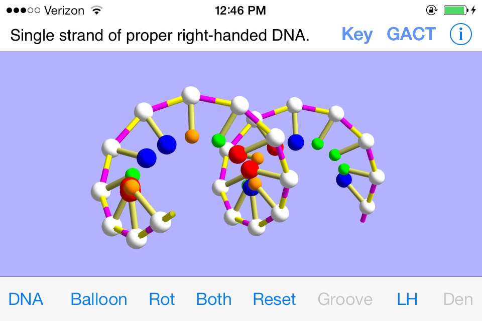 OnScreen DNA Model for iPhone screenshot 3