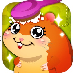 Pet Salon-hamster Makeover
