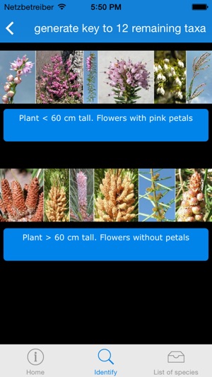 An interactive flora of the Southern Carnic Alps (Ampezzo-Sa(圖5)-速報App