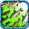 A Fishing Fun Sea Collect : Ocean Fishing Adventure Game - Free Vesion