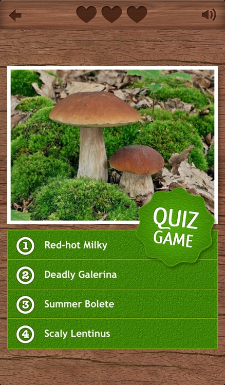 Mushrooms PRO - NATURE MOBILE - For Safe Enjoyment! screenshot-4