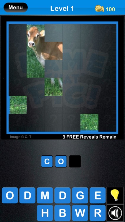 Name that Pic!