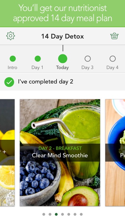 14 Day Detox including meal plan and cleansing guides