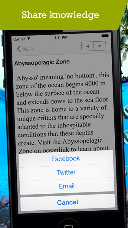 Marine Biology Glossary screenshot-3
