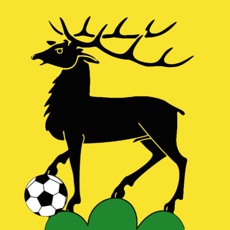 Activities of FCEglisau