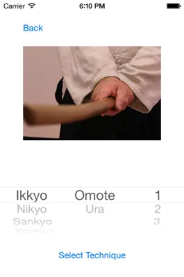 Game screenshot Aikido Weapon apk