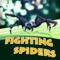 Fighting Spiders