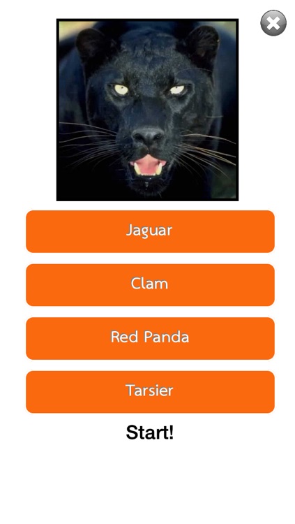 30s Guess Animal : Free Animal Quiz Fun Game screenshot-3