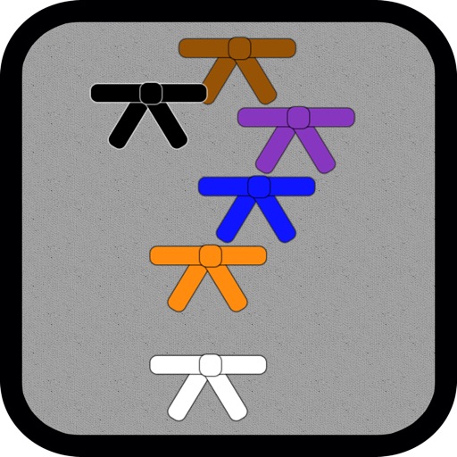 Karate Quiz icon