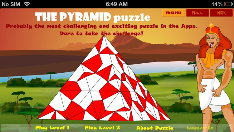 The Pyramid Puzzle