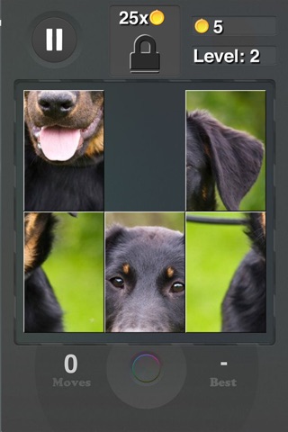 Pet Sliding Puzzle screenshot 4