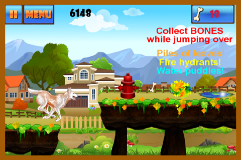 A Dog Run Adventure: Best Super Fun Doge Race Game Free screenshot 3