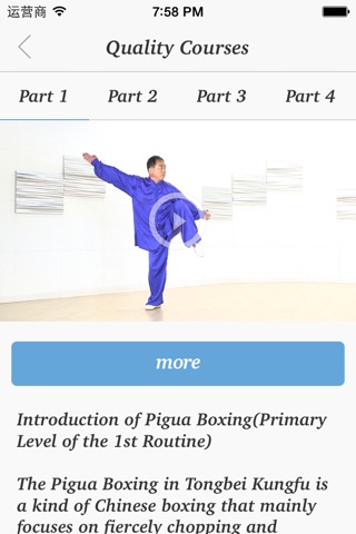 Series of Piguaquan in Tongbei Kungfu screenshot 4