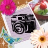 Free photo app, photodeco-collage,filter(Toy, Lomo, etc), stamps, frames～Let's decorate photos～
