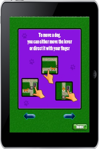 Happy Pooch Park Place - Lost Cute Little Puppy Pet Dog Arcade Free game screenshot 2