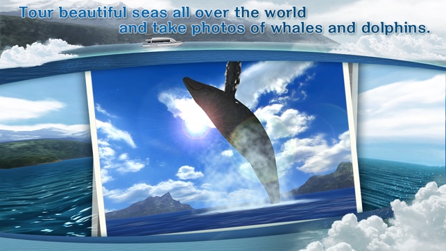 REAL WHALES  Find the cetacean.(圖1)-速報App