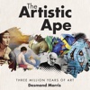 The Artistic Ape Video App
